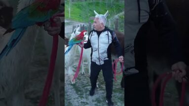 Platiqué con Kuno Becker. Nuevo podcas este Miércoles 📲  #BetterHumansBetterPlanet #shorts