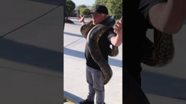 🐍 Cesar with Tarzan podcast coming soon 👀