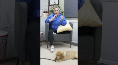 GREAT Reason To Use A Puppy "House-Line"