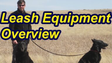 In depth view of dog walking collars/harnesses