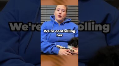 New Puppy Owner Tip - First Day Home