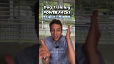 4 Tips in 59 Seconds: Dog Training POWER PACK! 💪 #dogtraining #dogtrainer #puppytraining #live #tips