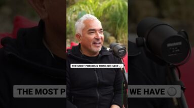 The Most Precious Thing We Have is….