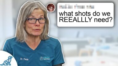 Veterinarian Reveals The TRUTH About Dog Myths