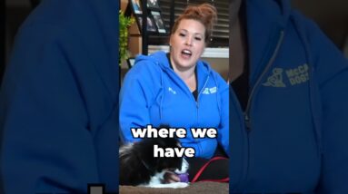 Watch For THIS Moment In Your Puppy Potty Training!