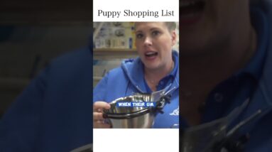Add THIS Bowl To Your Puppy Shopping List!