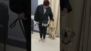 I Bet You Aren't Doing THIS With Leash Walking Training