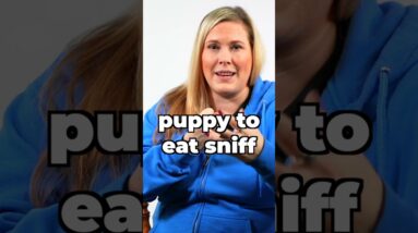 Teach Your Puppy To Have "Self Control"