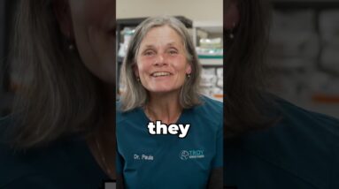 What's The Most PREVENTABLE Reason For Vet Visits?