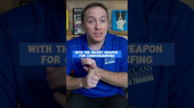 3 Steps To STOP Your Dog From Jumping On The Counter