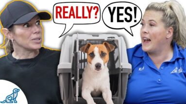 A REAL Conversation About How Crate Training Changes EVERYTHING!