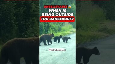 Unbelievable! When is Ourside TOO Dangerous 😳 #dogtraining #dogtrainer