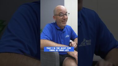 Do THIS So Your Puppy LOVES To Listen!