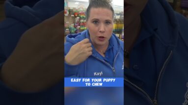 Finding The Right Puppy Training Treat - 3 Tips