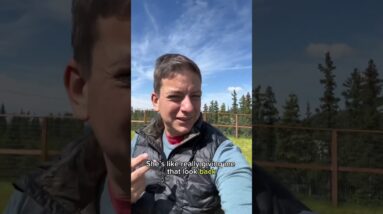 Playing fetch but an eagle wants to eat my dog… #dogtraining #dogtrainer #puppytraining #dogs #puppy