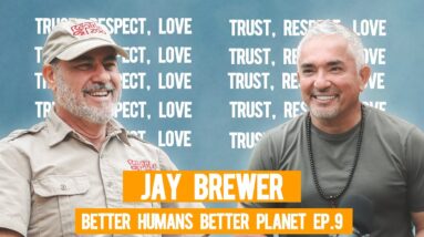 Living the Dream with Jay Brewer | Better Humans Better Planet EP. 9