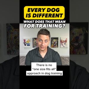When The Same Training Approach Isn’t Enough #dogtraining #dogtrainer #puppytraining #dogtraining101