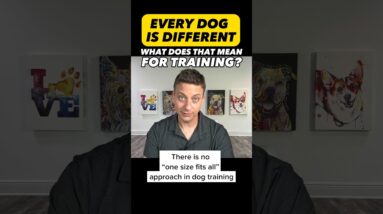 When The Same Training Approach Isn’t Enough #dogtraining #dogtrainer #puppytraining #dogtraining101