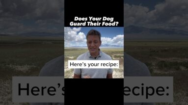 If Your Dog Snaps Over Food, Here’s Your Recipe #dogtraining #dogtrainer #resourceguarding #puppy