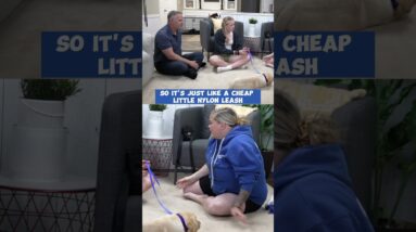 The Puppy Training "House-Line" Solves THIS Problem