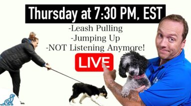 The Unpopular Truth About Your Dog's "Teenage Phase"