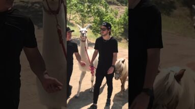 Caminando a la manada y compartiendo milagros 🙌 Culiacán y Monterrey. @RobertoMtzTV