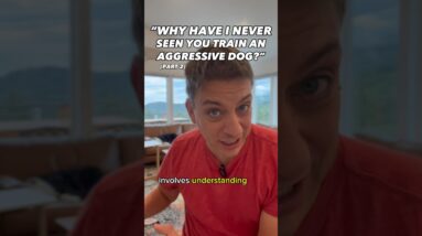 This is Why You’ve Never Seen Me Train an Aggressive Dog (Pt 2) #dogtrainer #dogtraining #zakgeorge