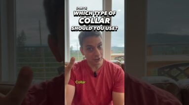 Which Collar Should You Use? #dogtraining #dogtrainer #puppytraining #collar #harness #leashtraining