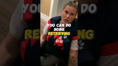 Do This With Your Puppy EVERY NIGHT Before Bed!