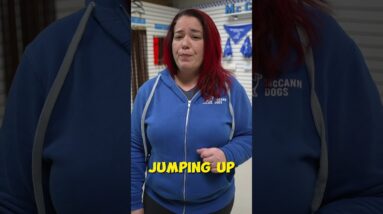 Does Your Dog Jump On EVERYONE?