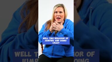 For Dogs That Get TOO Excited About Food In Training