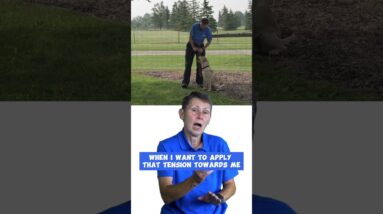 Leash Technique For Dogs That PULL Constantly!