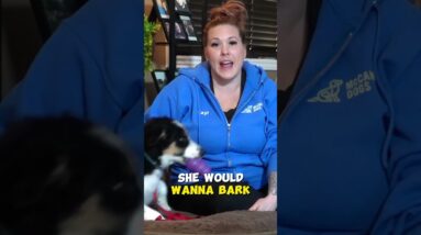 Simple Tip To Stop Your Puppy From Barking In The Crate