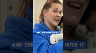 The Puppy Training Speech You Needed To Hear Today...