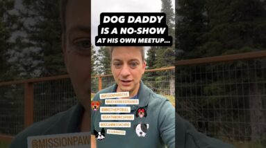 Dog Daddy is a No-Show at His Own Meetup #dogtrainer #dogtraining #dogtraining101