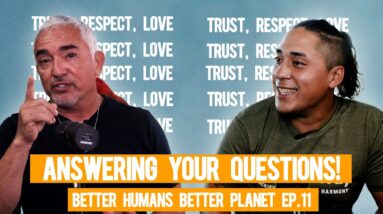Cesar Millan Answers Your Dog Training Questions! (featuring. Andre Millan) | BHBP EP. 11