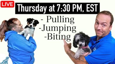 3 Dog Training Steps To Stop ANY Unwanted Behavior!