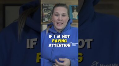 Buying Dog Toys? Less Is MORE!