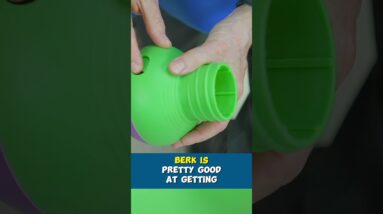 Help Your Dog RELAX When You Leave