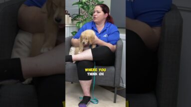 Puppy Crate Barking Tip