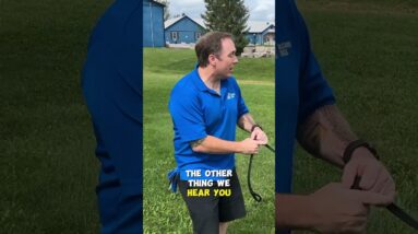 Stop Using Treats In Your Puppy Potty Training