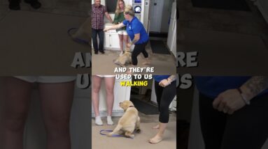 Use This Trick For A Better SIT!