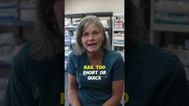 What If You Cut Your Dog's Nail Too Short?