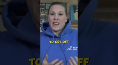 Your Dog Shouldn't Sleep On Your Bed...Yet