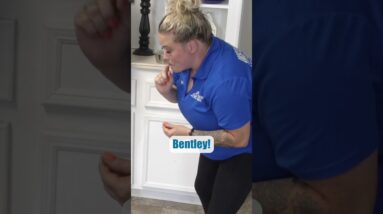 Your Puppy Training Should be THIS Simple