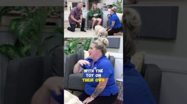 You're Missing The PERFECT Puppy Training Moment...