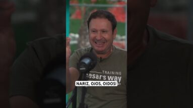 Nariz, ojos, oidos! #cesarmillan #dog #dogtrainer