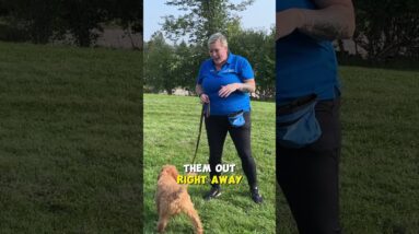 Puppy Potty Training Hack