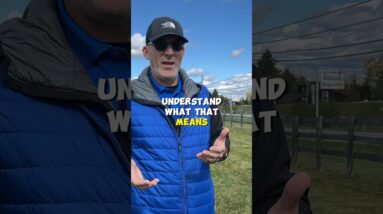 Say Less, Get More Success - In Your Dog Training