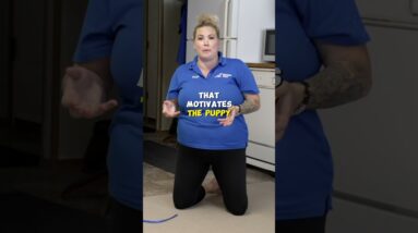 Teach Your Puppy To Follow Food